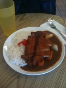 Around $8.75 -- this katsu curry was AMERICA SIZED and spiced to kill.
